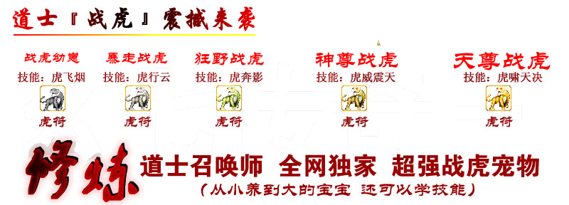 道士战虎修炼